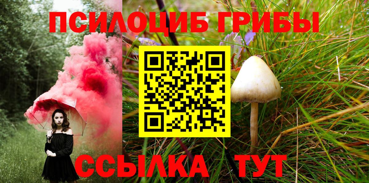 Псилоцибиновые грибы Cubensis  Вход с VPN  Коркино  Псилоцибиновые грибы ЛСД 