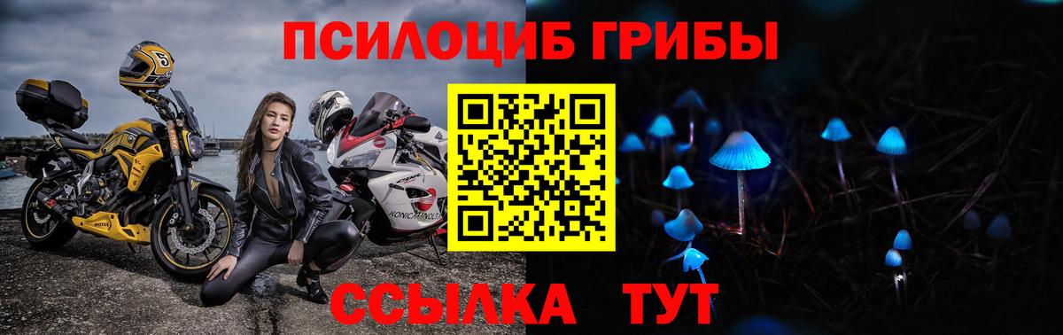 Галлюциногенные грибы Psilocybine cubensis Коркино