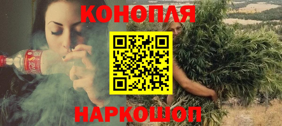Псилоцибиновые грибы Коркино